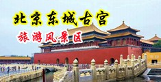 鸡巴插騒逼里的视频中国北京-东城古宫旅游风景区